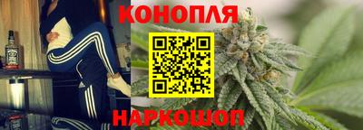 индика Краснознаменск