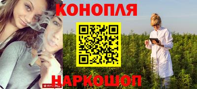 индика Краснознаменск